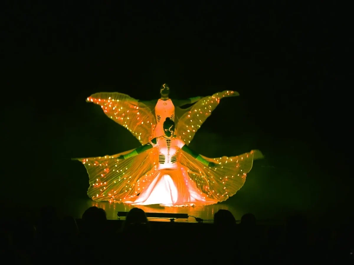 LED show és fénycirkusz
